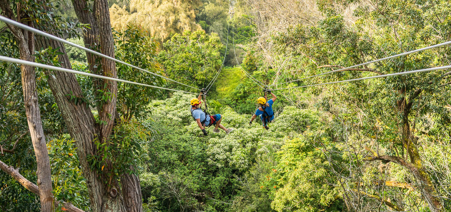 Meta Slider - HTML Overlay - tandem-zipline-2